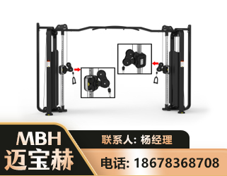 新余大飞鸟训练器